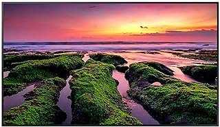 MONITOR PROFISSIONAL SAMSUNG LED 50