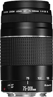 CANON Lente Ef 75-300 Mm F/4-5.6 Iii